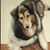 Beth Grella's profile image