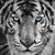 Jose Santiago's profile image