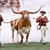 Heather Cosmas Stephens's profile image