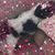 Carol Brown Smith's profile image
