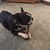 Marilyn Cronick's profile image