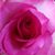 Loriel Ross's profile image