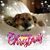 Echo Belhumeur's profile image