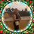 Tam Ben's profile image