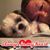 MaryAnn Chamberlain's profile image