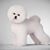 Wendy Ball's profile image