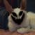Jonathan UX Chaney's profile image