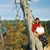 Julie Layher Frey's profile image