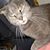 Kathy Mushlit's profile image