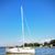 Julie Greenfield Neaderthal's profile image