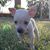 Bobbi McGoffin's profile image