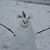 Wendy Vitale Wysocki's profile image
