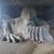 Darla Dunn's profile image