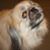 Marnee Martin's profile image