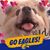 Vicki Steckis's profile image
