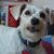 Jennifer Thorson's profile image