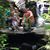 Ashley Boudreaux's profile image