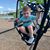 Shelby Rasmussen's profile image