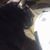 Valerie A Vahue's profile image