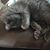 Rhonda Steward's profile image