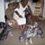Otis Brown's profile image