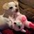 Judy Heightman Muchow's profile image