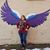 Carla Seiders Creamer's profile image
