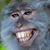 Phil Thy Animale Hersey's profile image