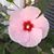 Jackie Lattimer's profile image