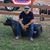Eddie Lalo Gutierrez's profile image