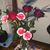 Connie Marie's profile image