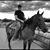 Steve Peay's profile image