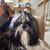 Christina M Perry's profile image