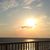 Iris Turner McNabb's profile image