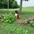 Logan Kidder's profile image