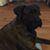 Nick Wilbert's profile image