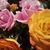 Jean Kruse's profile image