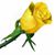 Ann Jensen-Rishel's profile image