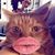 SamanthaandAndy Kemske's profile image