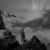 Edwin J. McGrath's profile image