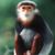 Gisela Tillman's profile image