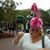 Terri Adams's profile image