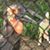 Teresa Holloway Mansell's profile image