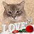 Laura Fick's profile image
