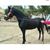 Christal Greene's profile image