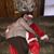 Angel Hale Noonan's profile image