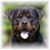 Alan Zinn's profile image