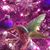 Sondra Warner's profile image