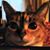 DeeDee Jorgensen's profile image