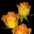 Susan Baker's profile image